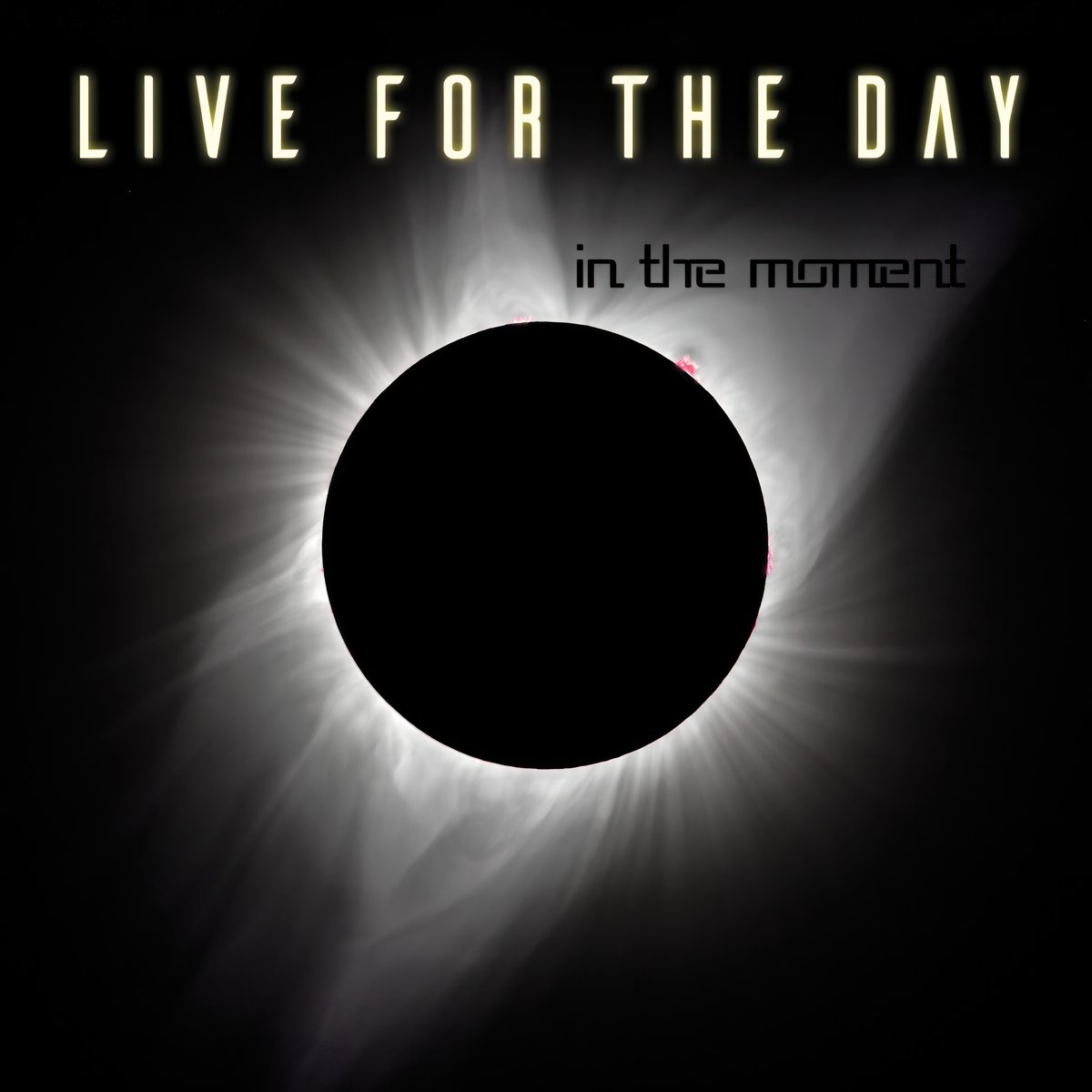 Cover art for In The Moment