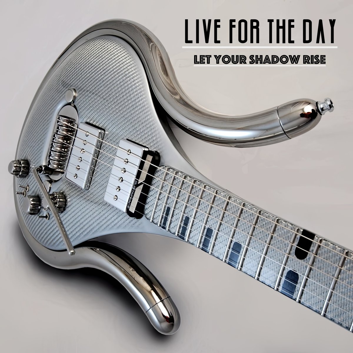 Cover art for Let Your Shadow Rise